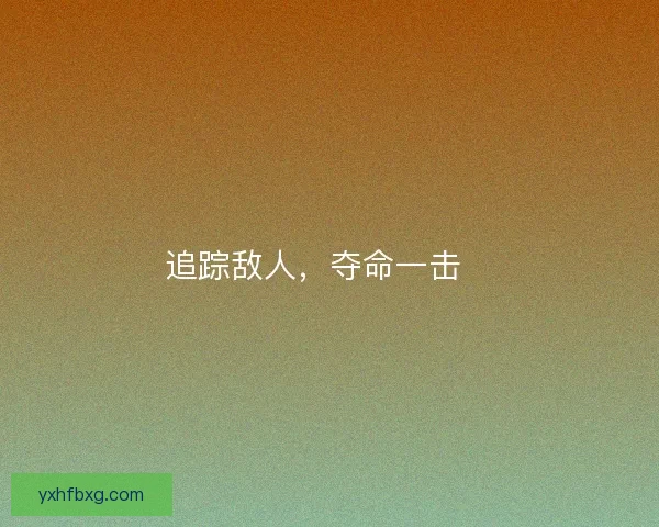 追踪敌人,夺命一击 追踪敌人,夺命一击