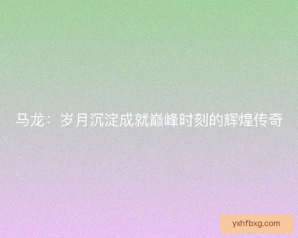 马龙：岁月沉淀成就巅峰时刻的辉煌传奇