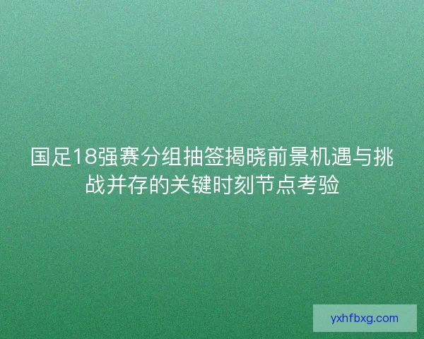 国足18强赛分组抽签揭晓前景机遇与挑战并存的关键时刻节点考验 国足18强赛分组抽签揭晓前景机遇与挑战并存的关键时刻节点考验